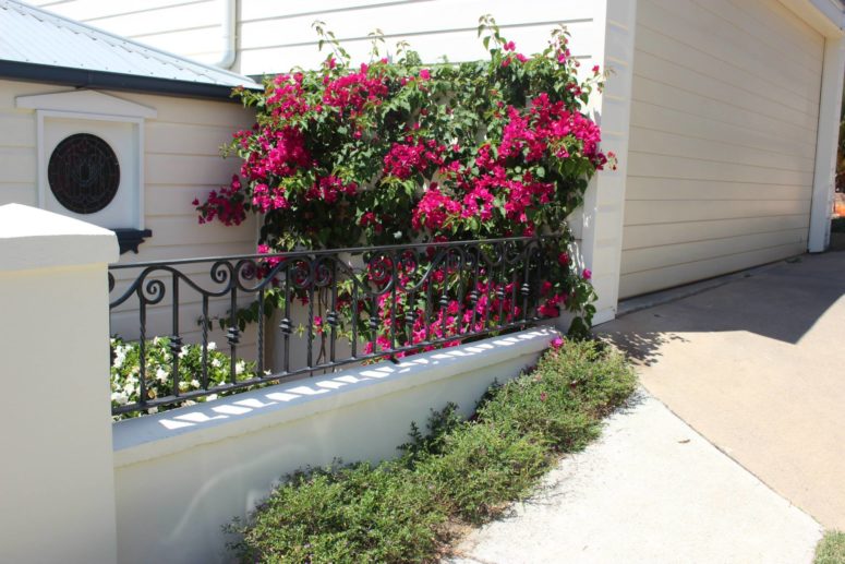 Ultimate Fence Maintenance Tips for Your Home